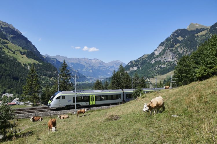 Il Trenino Verde Delle Alpi: Emozioni Di Viaggio Tra Natura E Cultura Con Loquis
