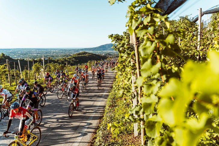 La Prosecco Cycling Sempre Più “Green”: L’evento Vince Il “Premio Bandiera Verde Agricoltura” 2024!