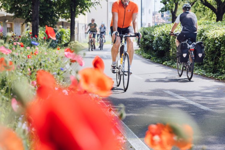 Bolzano In Sella: Il Fascino Della Città Tra Piste Ciclabili, Natura E Libertà!
